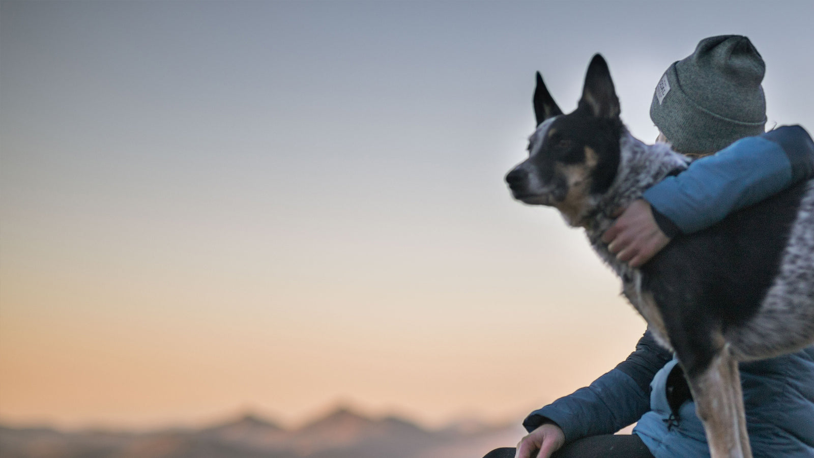 The Three Pillars of Fetch®