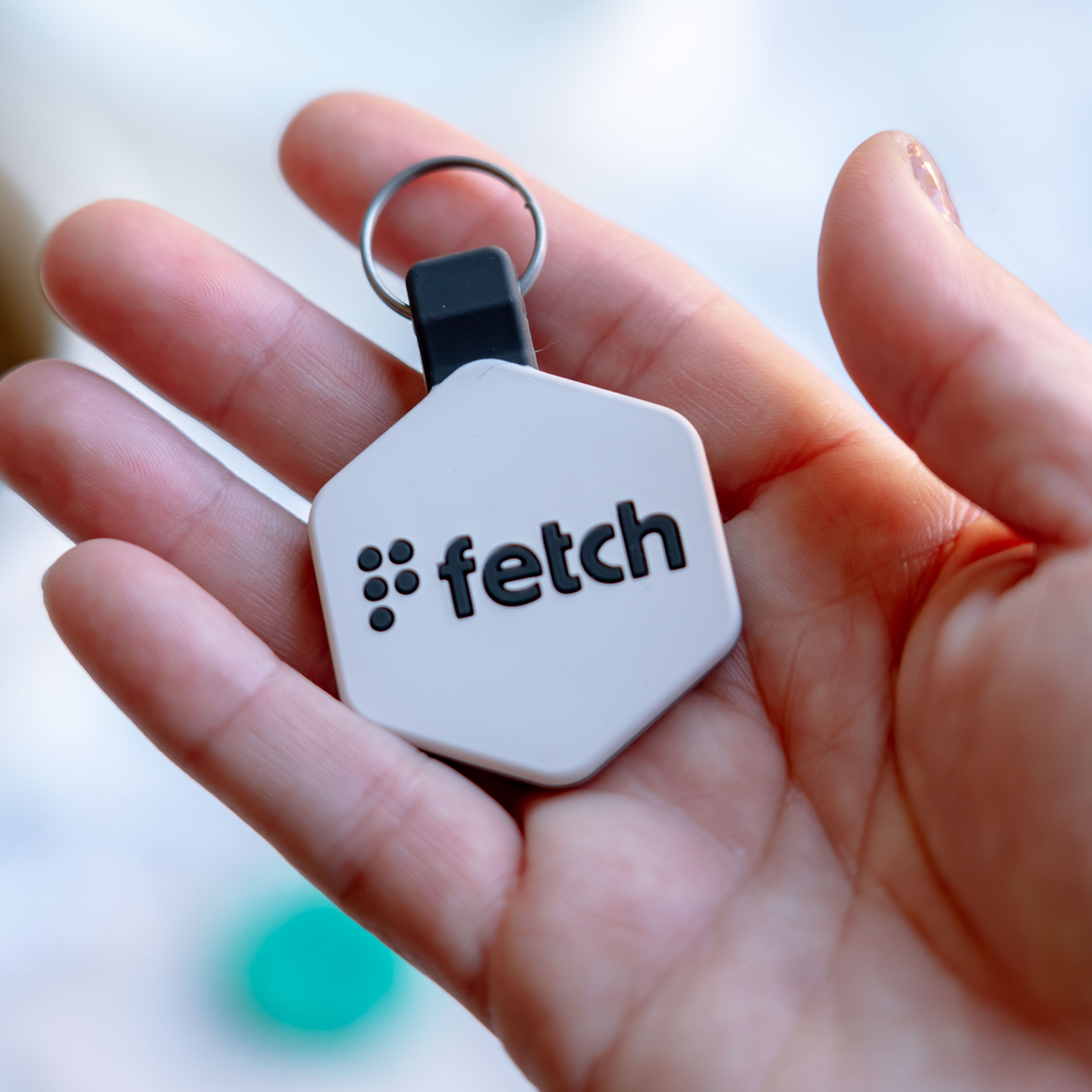 Fetch® Smart Pet Tags – Lifekey Pets
