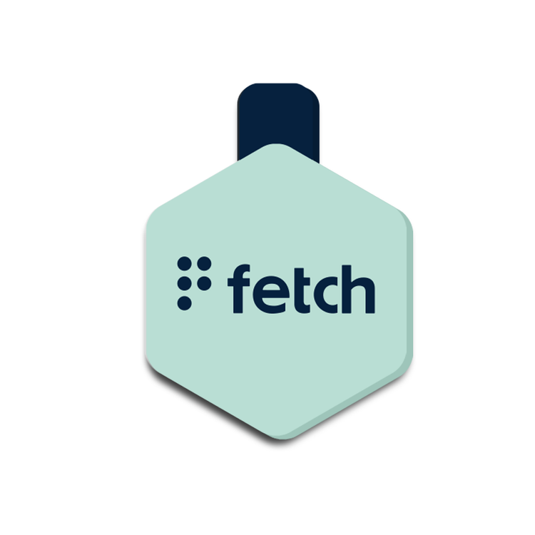 Fetch® Smart Pet Tags – Lifekey Pets