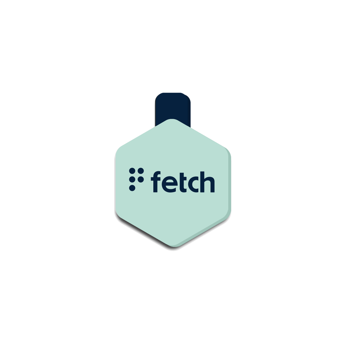 Fresh Breath Fetch® Mini – Lifekey Pets